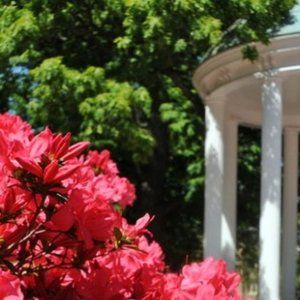 Meet your Posher, Gibson